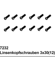 Linsenkopfschrauben 3x30 (12)