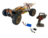 DF3127 BL-06-Brushless 1:14 RTR Buggy-RTR