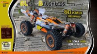 BL-06-Brushless 1:14 RTR Buggy-RTR