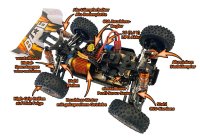 DF3127 BL-06-Brushless 1:14 RTR Buggy-RTR