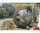 550040006 1:35 Kugelpanzer 41(r) m. Interieur