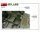 550035206 1:35 M3 Lee Frühe Produkt. m. Interieur