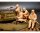 550035226 1:35 Fig. Sov. Infanterie Winter Tar.(5)