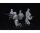 550035226 1:35 Fig. Sov. Infanterie Winter Tar.(5)