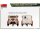 550035382 1:35 Tempo A400 Lieferwagen RK 3Rad