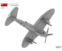 550048009 1:48 P-47D-25RE Thunderbolt Basis Kit