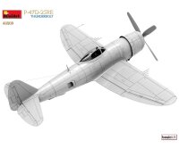 550048009 1:48 P-47D-25RE Thunderbolt Basis Kit