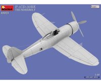 550048023 1:48 P-47D-30RE Thunderbolt Basic Kit