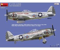 550048023 1:48 P-47D-30RE Thunderbolt Basic Kit