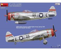 550048023 1:48 P-47D-30RE Thunderbolt Basic Kit