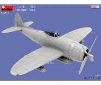 550048023 1:48 P-47D-30RE Thunderbolt Basic Kit