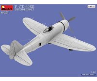 550048023 1:48 P-47D-30RE Thunderbolt Basic Kit