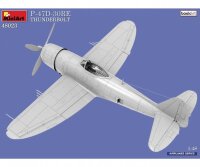 550048023 1:48 P-47D-30RE Thunderbolt Basic Kit