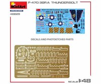 550048029 1:48 P-47D-30RA Thunderbolt Adv.Kit