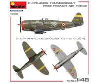 550048015 1:48 P47D-28RE französische Luftwaffe Basic Kit