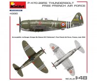 550048015 1:48 P47D-28RE französische Luftwaffe Basic Kit