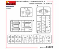 550048015 1:48 P47D-28RE französische Luftwaffe Basic Kit