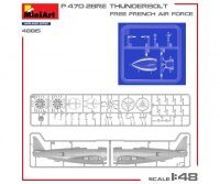 550048015 1:48 P47D-28RE französische Luftwaffe Basic Kit