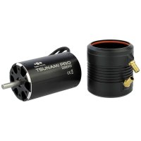 Tsunami Pro Seaking BL Motor IL3660-3300KV