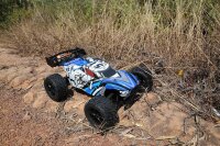 DF3195 TW-1 Truggy 5.1 brushed 1:10XL - RTR