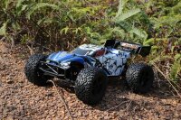 DF3195 TW-1 Truggy 5.1 brushed 1:10XL - RTR