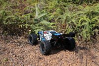 DF3195 TW-1 Truggy 5.1 brushed 1:10XL - RTR