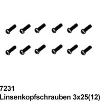 DF7231* Linsenkopfschrauben 3x25 (12)