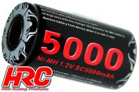 HRC3085B Glühkerzenstecker - mit Anzeige und Akku - 5000 mAh - mit Lader - Schwarz