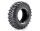LOUT3231VI CR-Champ 1.9 Reifen supersoft mit Einlage (2)