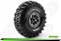 Louise RC - CR-CHAMP - 1-10 Crawler Komplettradsatz -...