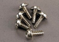 Scheibenkopfschraube 3x8mm mit Phillips (6)