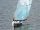 KR-26115 Hawaii 1000 RTR  Regattayacht
