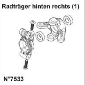 Radträger hinten rechts (1)