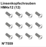 DF7559* Linsenkopfschrauben HM4x12 (12)