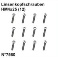 DF7560* Linsenkopfschrauben HM4x25 (12)