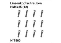 DF7560* Linsenkopfschrauben HM4x25 (12)