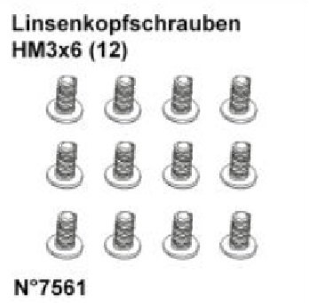 Linsenkopfschrauben HM3x6 (12)