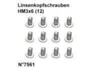 DF7561* Linsenkopfschrauben HM3x6 (12)