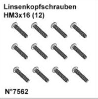DF7562* Linsenkopfschrauben HM3x16 (12)
