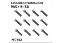 DF7562* Linsenkopfschrauben HM3x16 (12)