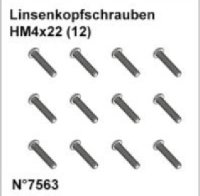 DF7563* Linsenkopfschrauben HM4x22 (12)