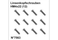 DF7563* Linsenkopfschrauben HM4x22 (12)