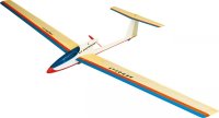 AEROFLY E-Flugmodell