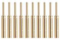 Goldkontakt &Oslash;0,8mm 10 Stecker |Yuki AM-601-10M