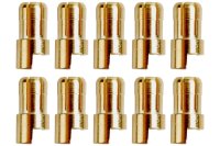 Goldkontakt &Oslash;6,0mm 10 Stecker |Yuki AM-611-10M