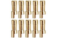 Goldkontakt &Oslash;5,5mm 10 Stecker |Yuki AM-610-10M