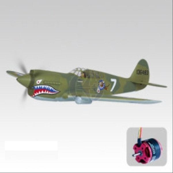 P-40 War Hawk OBL