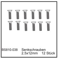 Senkschrauben 2,5x12mm (12 St&uuml;ck) - BEAST BX / TX