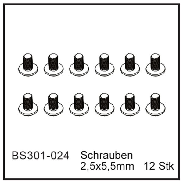 Schrauben 2,5x5,5mm (12 Stück) - BEAST BX / TX