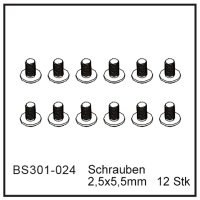 Schrauben 2,5x5,5mm (12 St&uuml;ck) - BEAST BX / TX